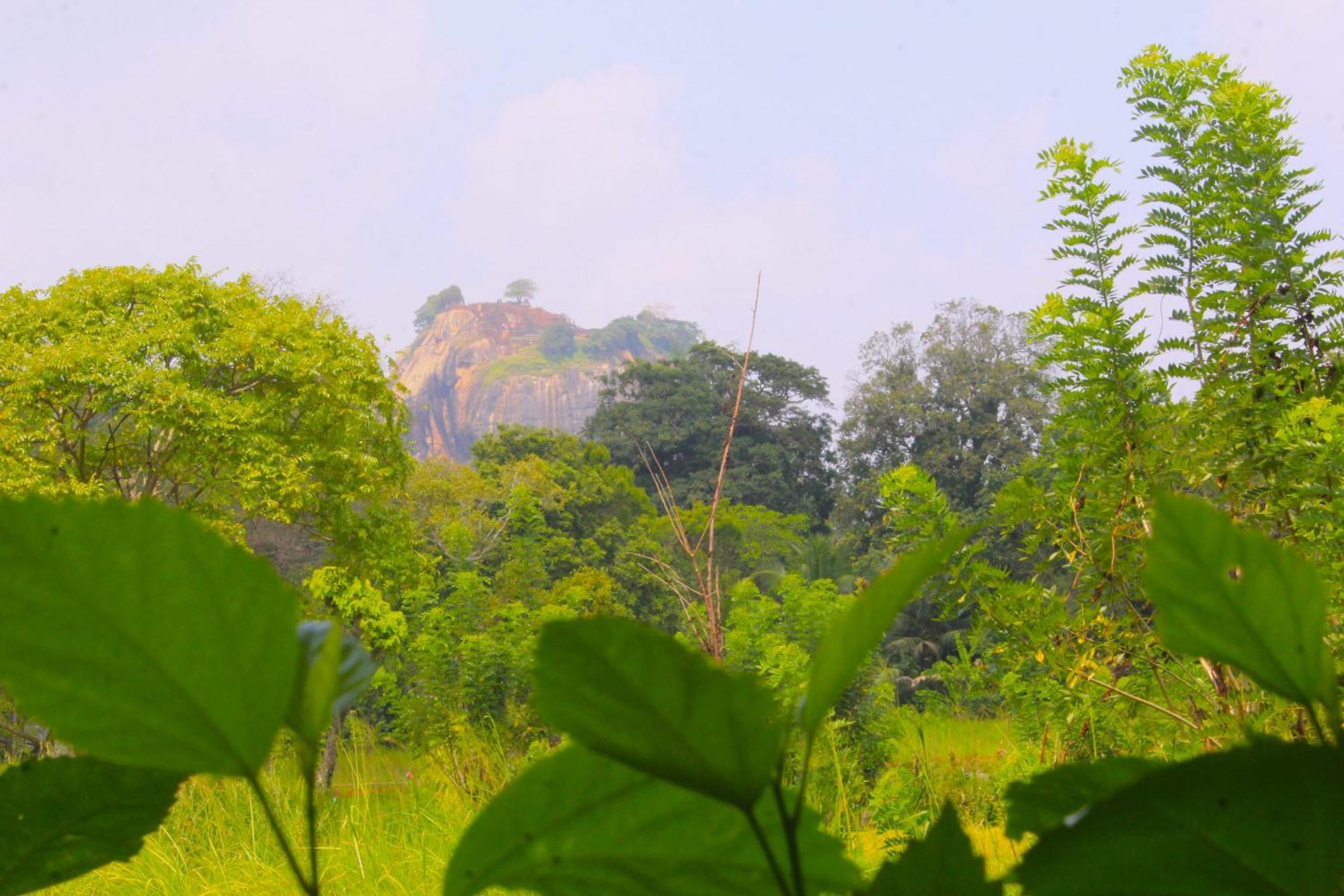 Sigiriya Palace View Eksteriør bilde